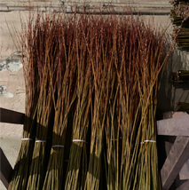 Tige de têtes de branches