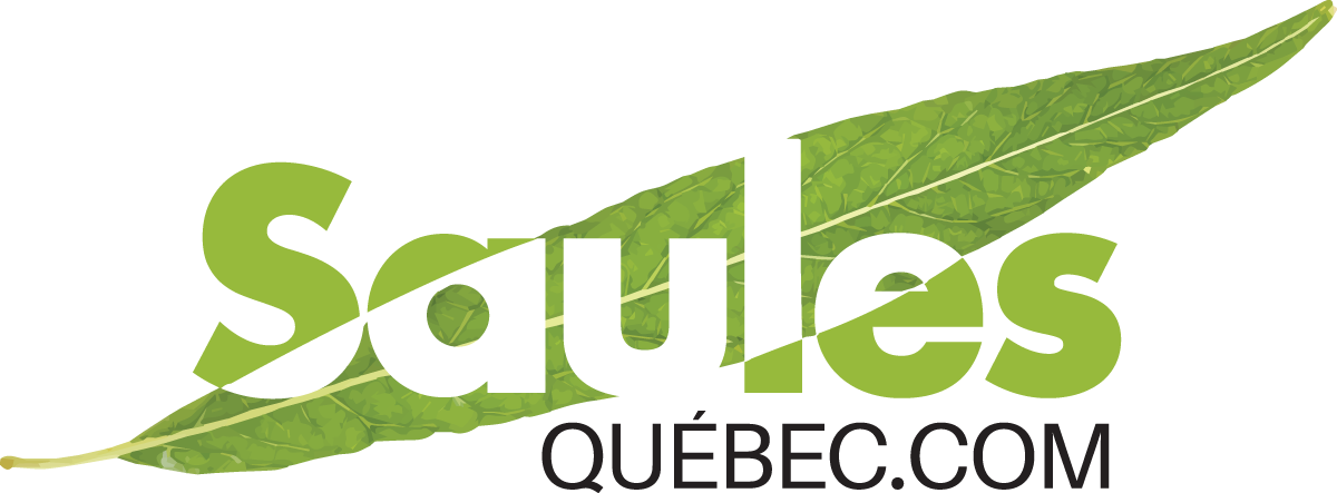 Logo Saules Québec